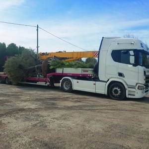 transport routier grue